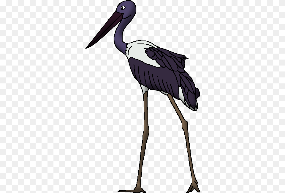 Black Necked Stork Wildlife Animal Pedia Wiki Fandom Black Stork, Bird, Waterfowl, Person, Crane Bird Png Image