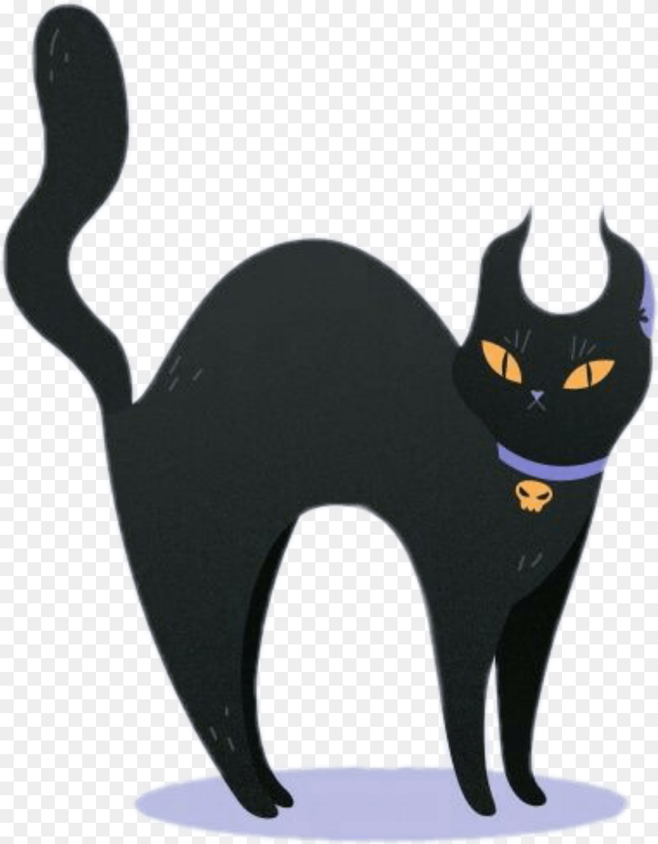 Black Negro Cat Gatos Kawaii Adorable Unicorn Unicornio, Animal, Mammal, Pet, Egyptian Cat Png