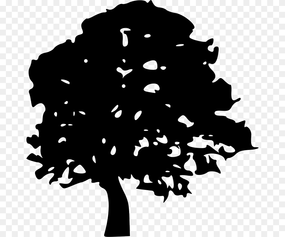 Black Oak Tree Svg Clip Arts Tree Clipart Black Transparent, Gray Free Png Download