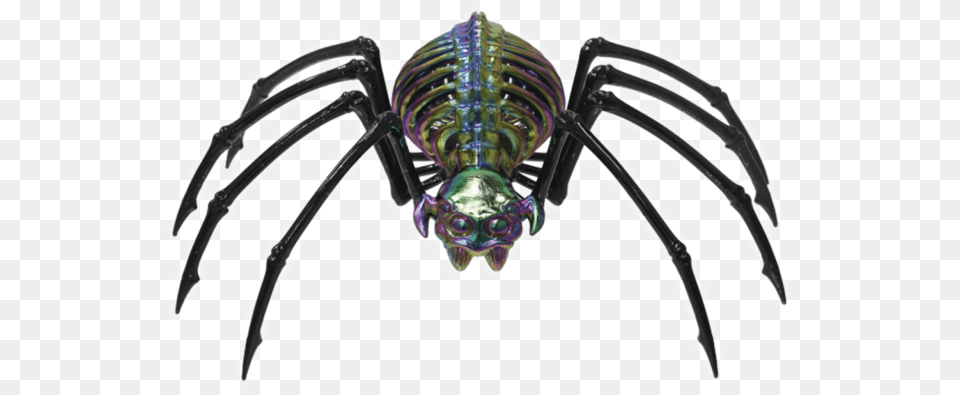 Black Oil Slick Skeleton Spider Decoration Halloween Skeleton Spider, Animal, Invertebrate Free Png