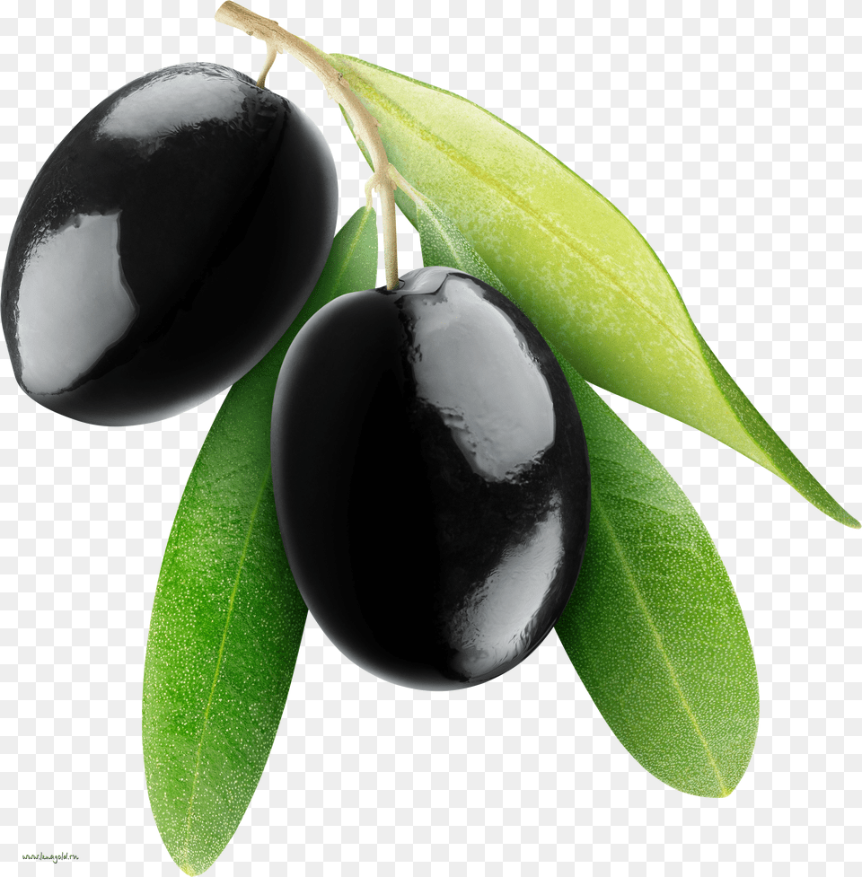 Black Olive Oil Transparent Black Olive Png