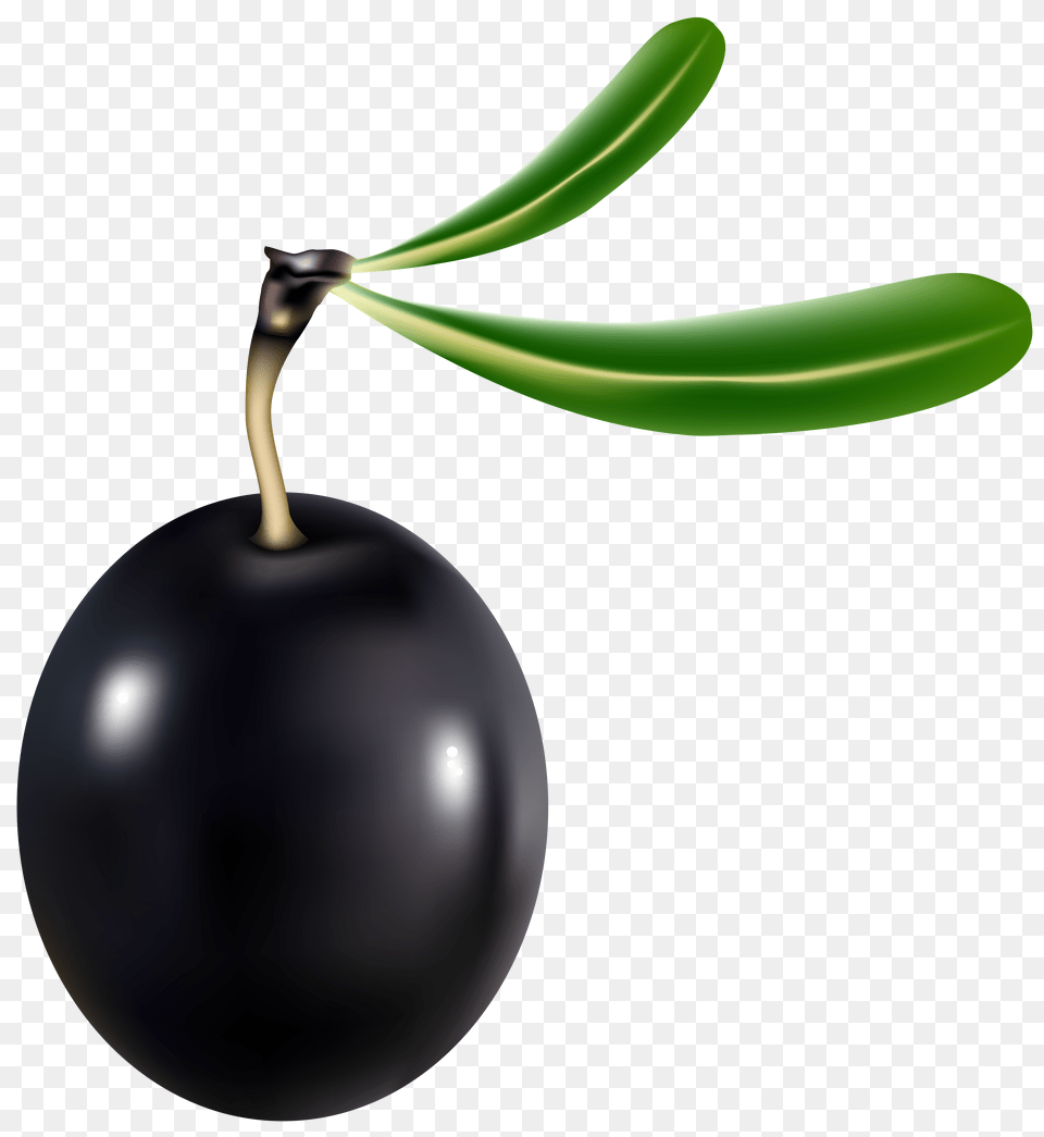 Black Olive Transparent Clip Art, Berry, Blueberry, Food, Fruit Png