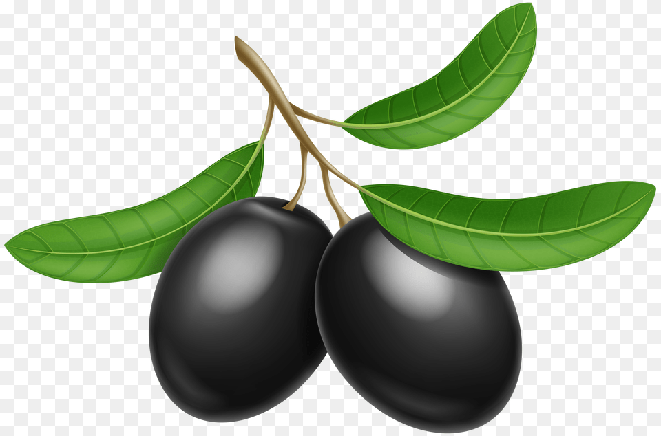 Black Olives Clip Art Gallery Free Png