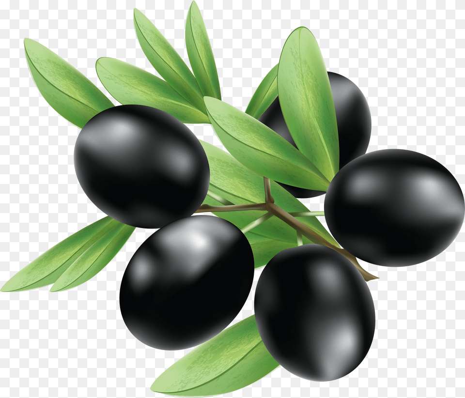 Black Olives Olives, Produce, Plant, Fruit, Food Free Png