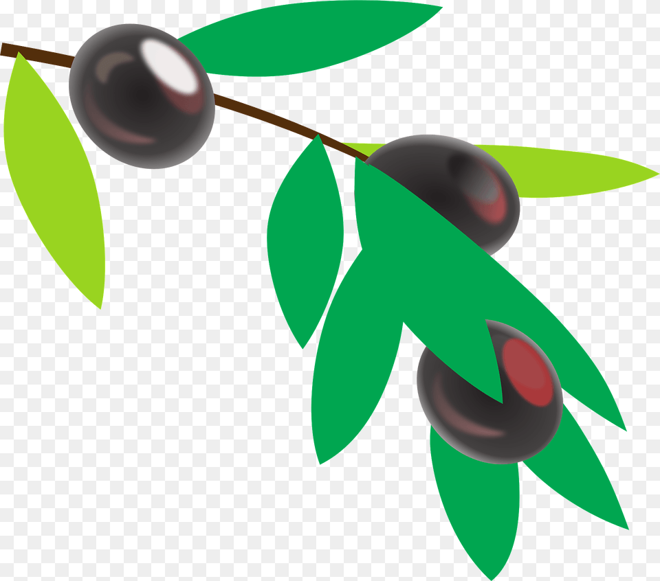 Black Olives On A Branch Clipart, Fruit, Food, Produce, Plant Free Png