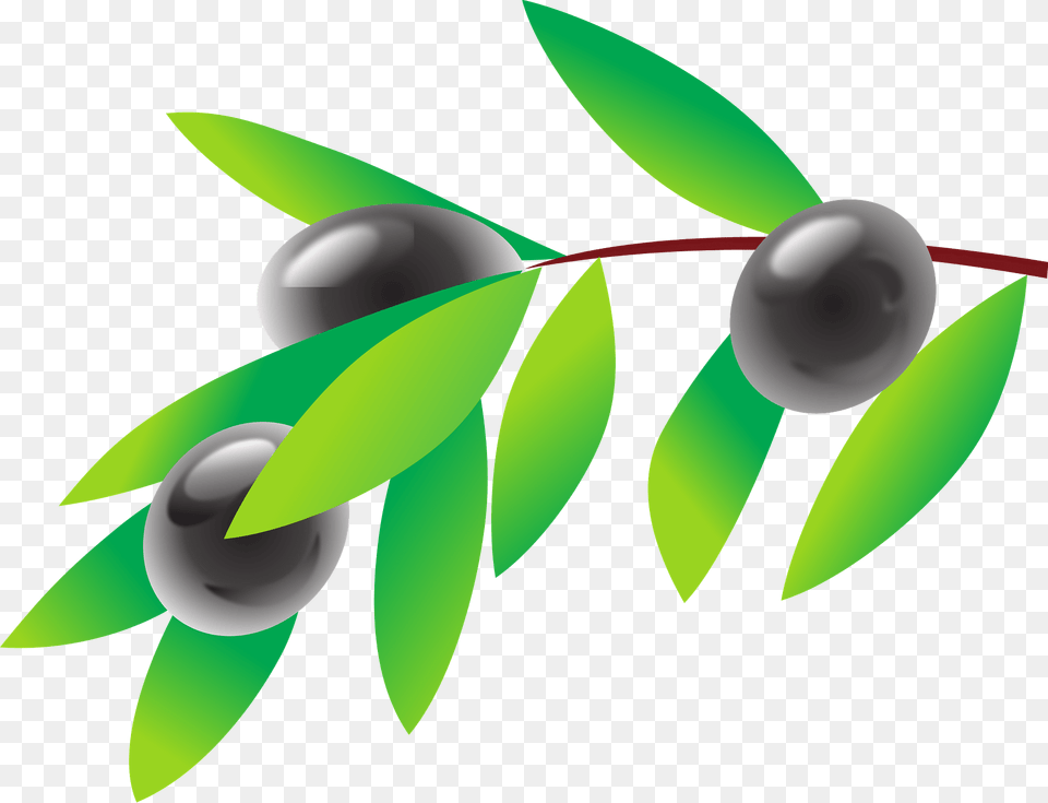 Black Olives On The Vine Clipart, Fruit, Berry, Blueberry, Produce Free Png