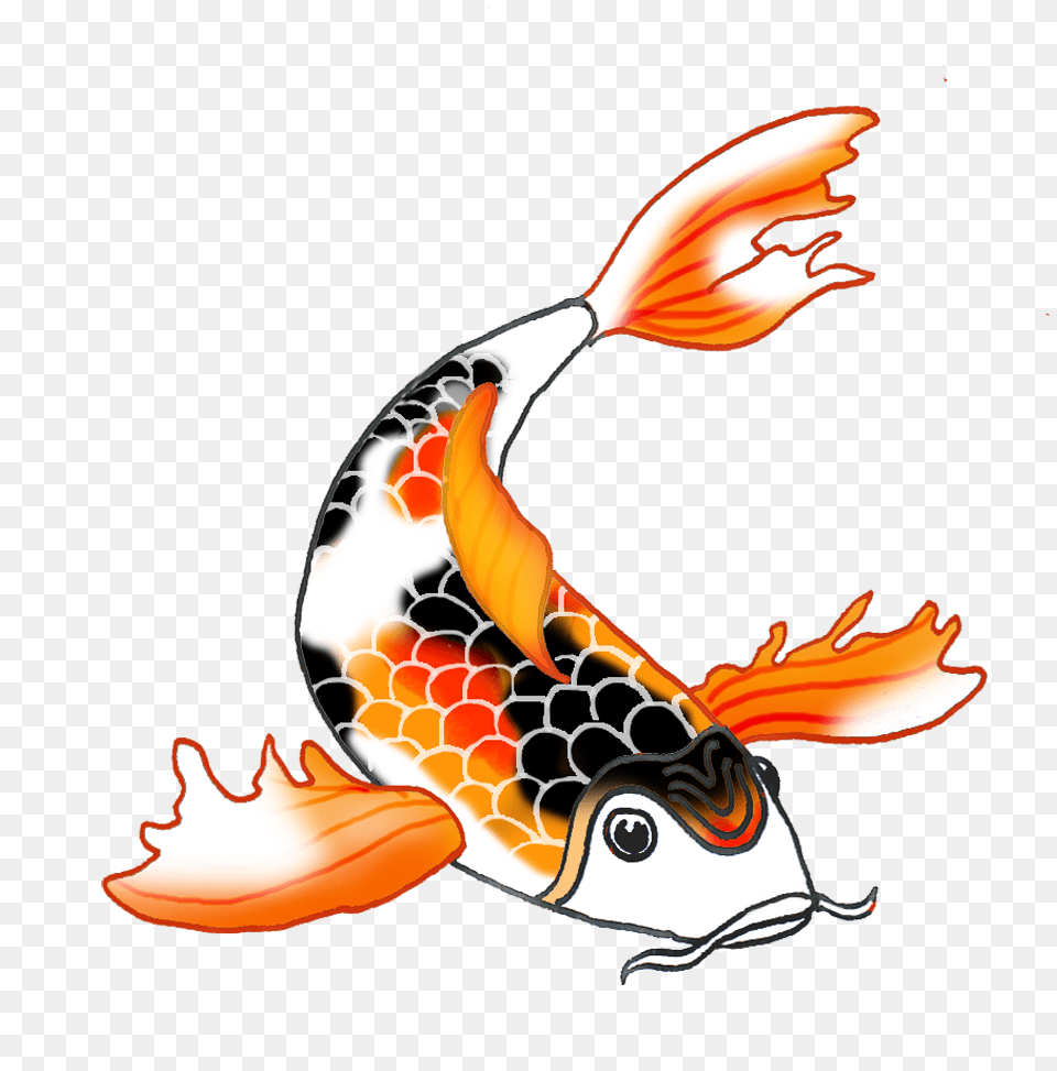 Black Orange Koi Fish Koi Fish Koi Fish And Koi, Animal, Sea Life, Carp, Shark Png Image