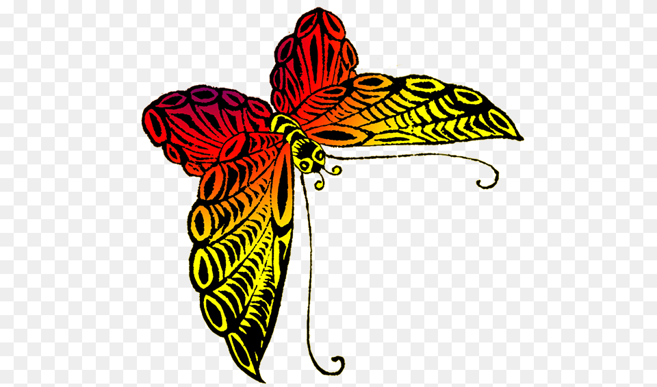 Black Orange Yellow Butterfly Butterfly Yellow And Orange Drawing, Art, Graphics, Floral Design, Pattern Free Transparent Png