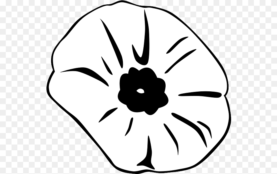 Black Outline Drawing Flower White Cartoon Public Silhouette Of A Poppy, Petal, Plant, Baby, Person Free Png Download