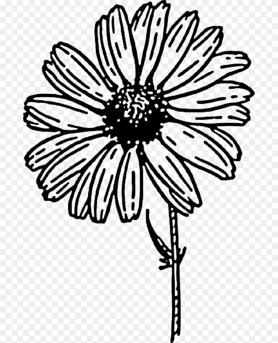 Black Outline Drawing Sketch Flower White Cartoon Daisy Clipart Black And White, Plant, Adult, Bride, Female Free Png Download