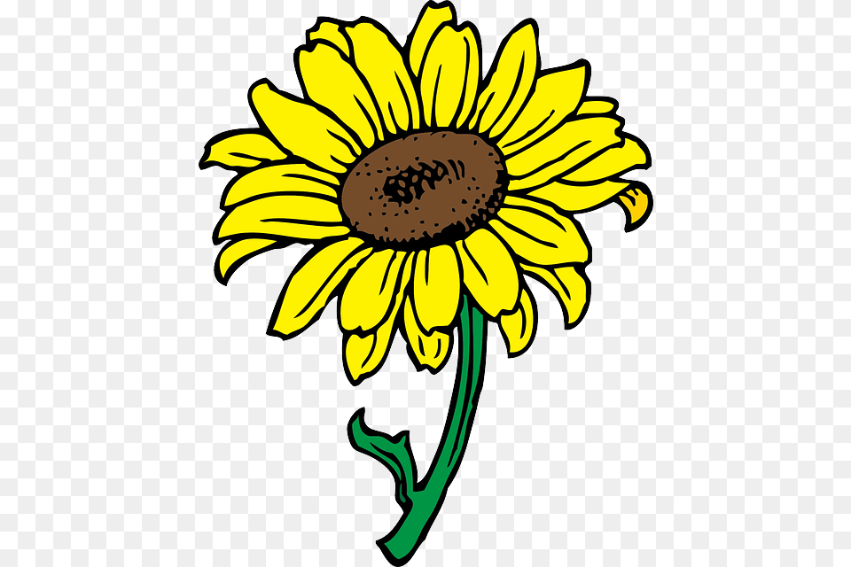 Black Outline Yellow Drawing Sun Flower White Clip Art Of Sunflower, Daisy, Plant Png Image
