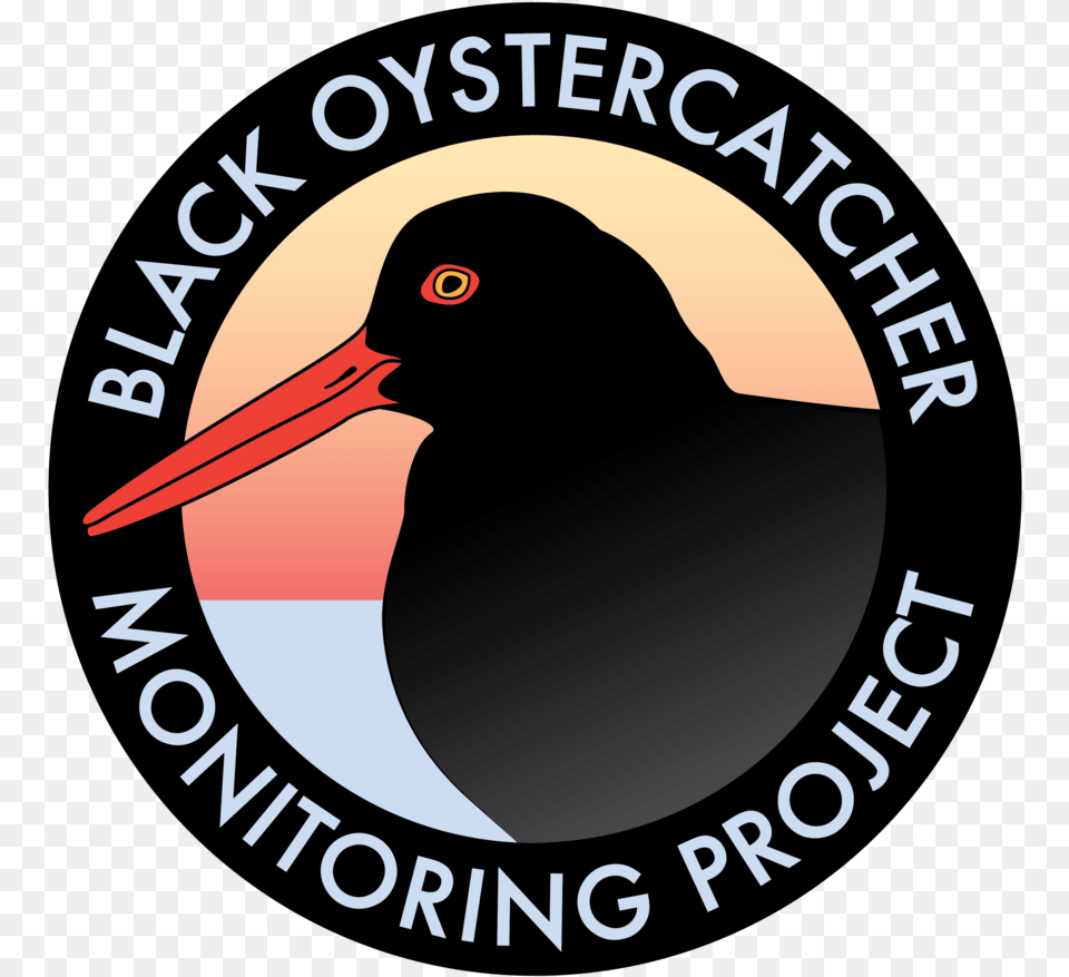 Black Oystercatcher Va Workers Compensation Commission Logo, Animal, Beak, Bird, Blackbird Free Png Download