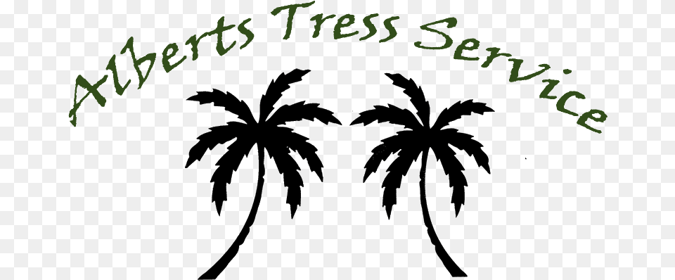 Black Palm Tree, Palm Tree, Plant, Blackboard, Text Png