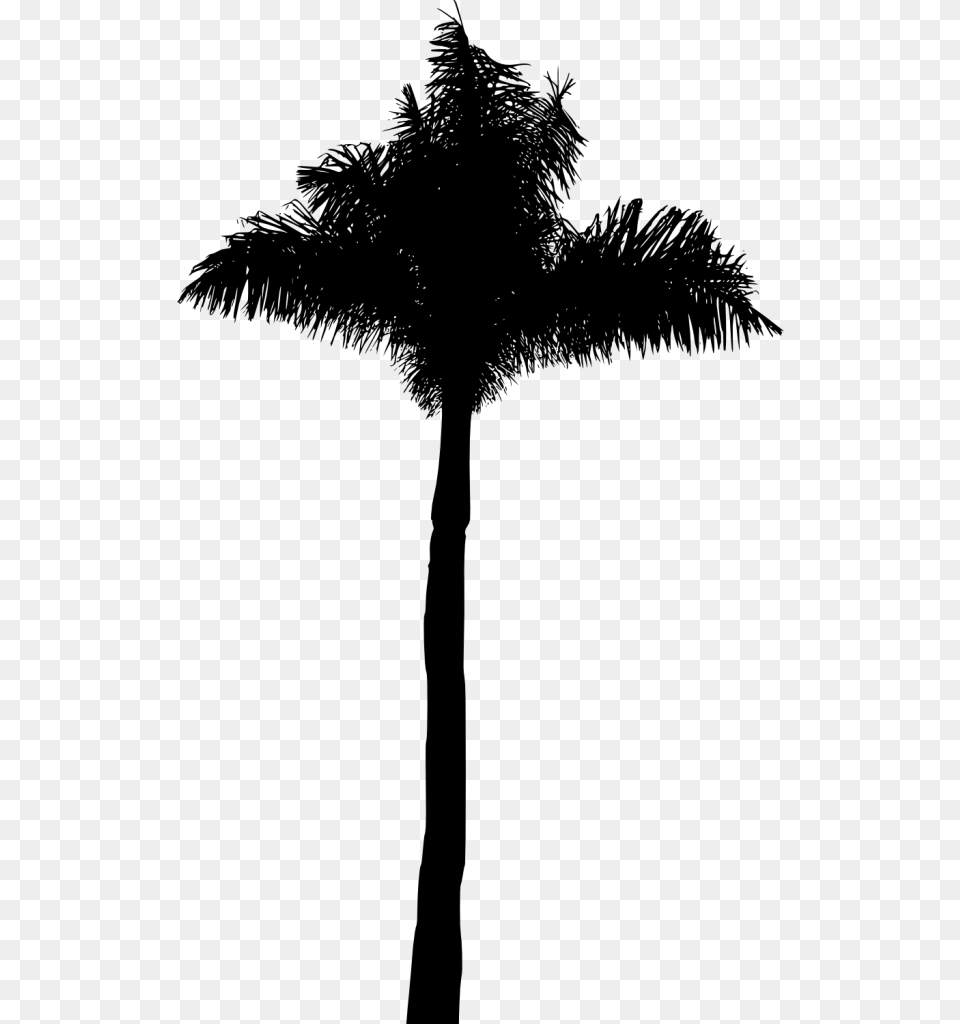 Black Palm Tree, Palm Tree, Plant, Cross, Symbol Free Transparent Png