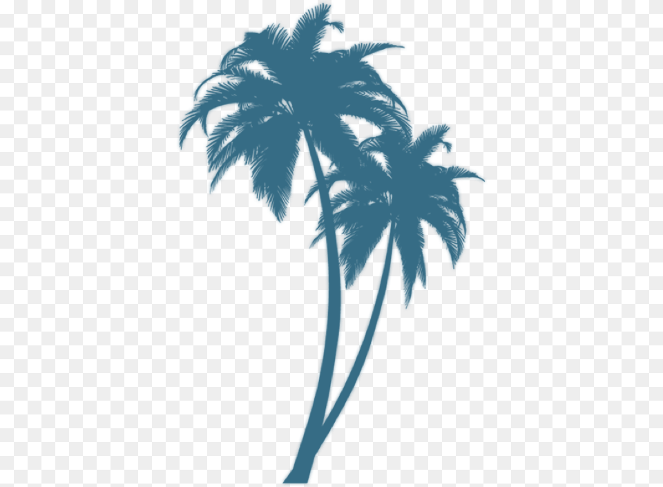 Black Palm Tree Design, Leaf, Plant, Stencil, Palm Tree Png Image