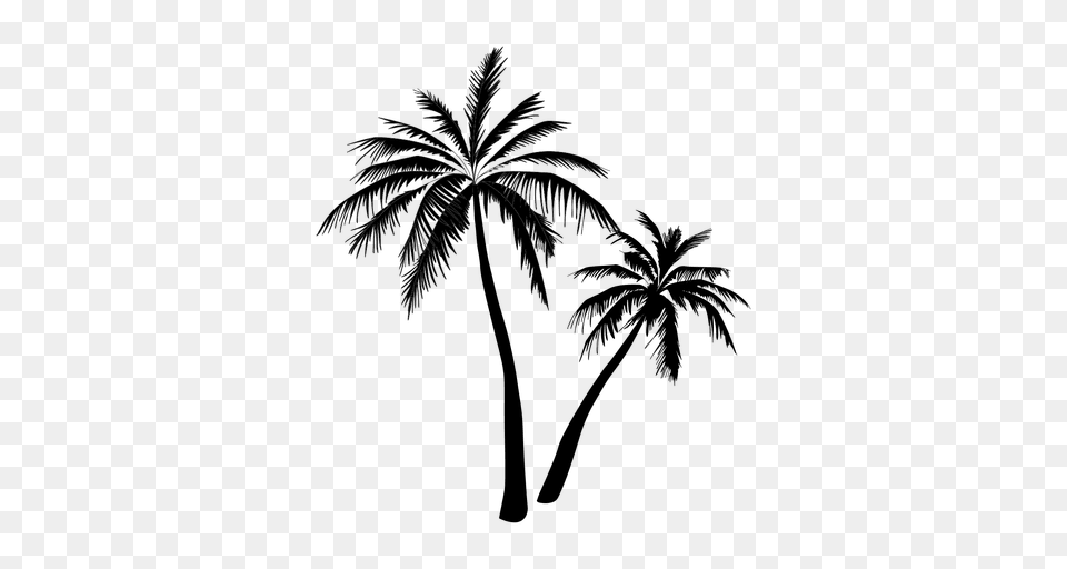 Black Palm Tree Silhouette, Palm Tree, Plant Free Png Download