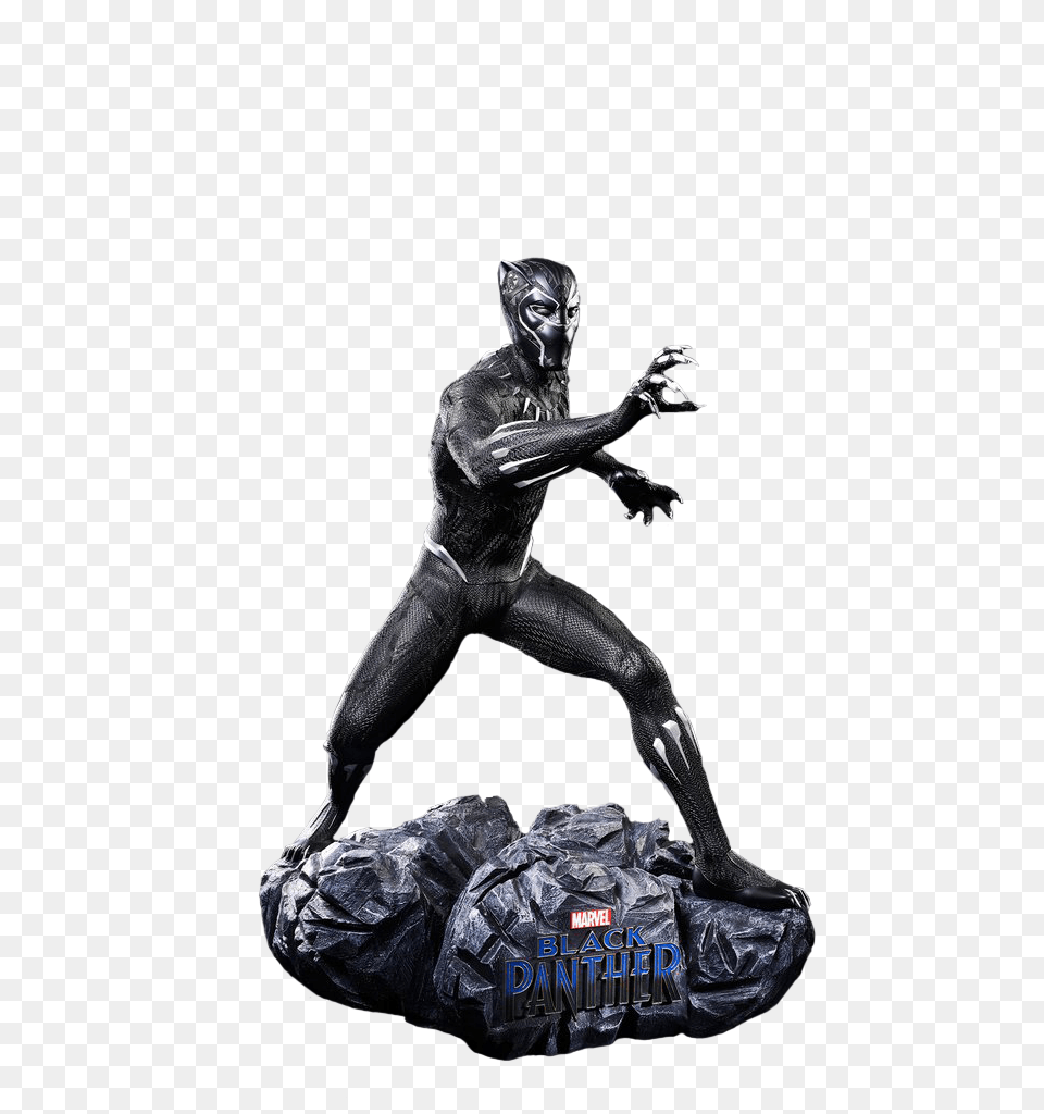 Black Panther, Adult, Male, Man, Person Free Png