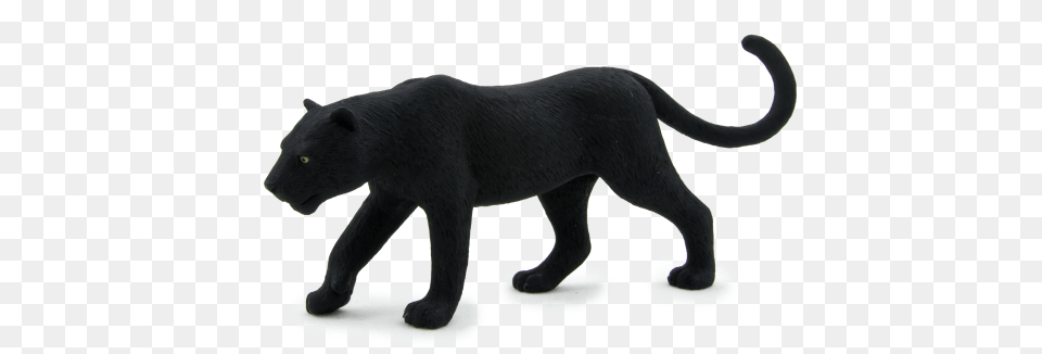 Black Panther, Animal, Bear, Mammal, Wildlife Free Png Download