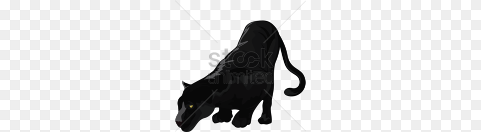 Black Panther Clipart, Silhouette, Person, Animal, Canine Png Image