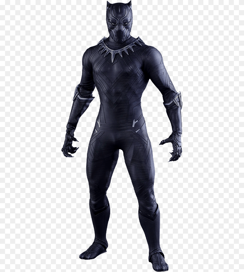 Black Panther Full Body, Adult, Male, Man, Person Free Png Download
