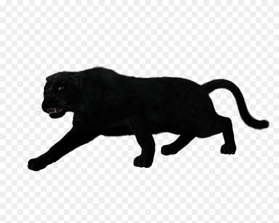 Black Panther Jaguar Silhouette Leopard Clip Art, Animal, Mammal, Wildlife, Cat Free Png Download