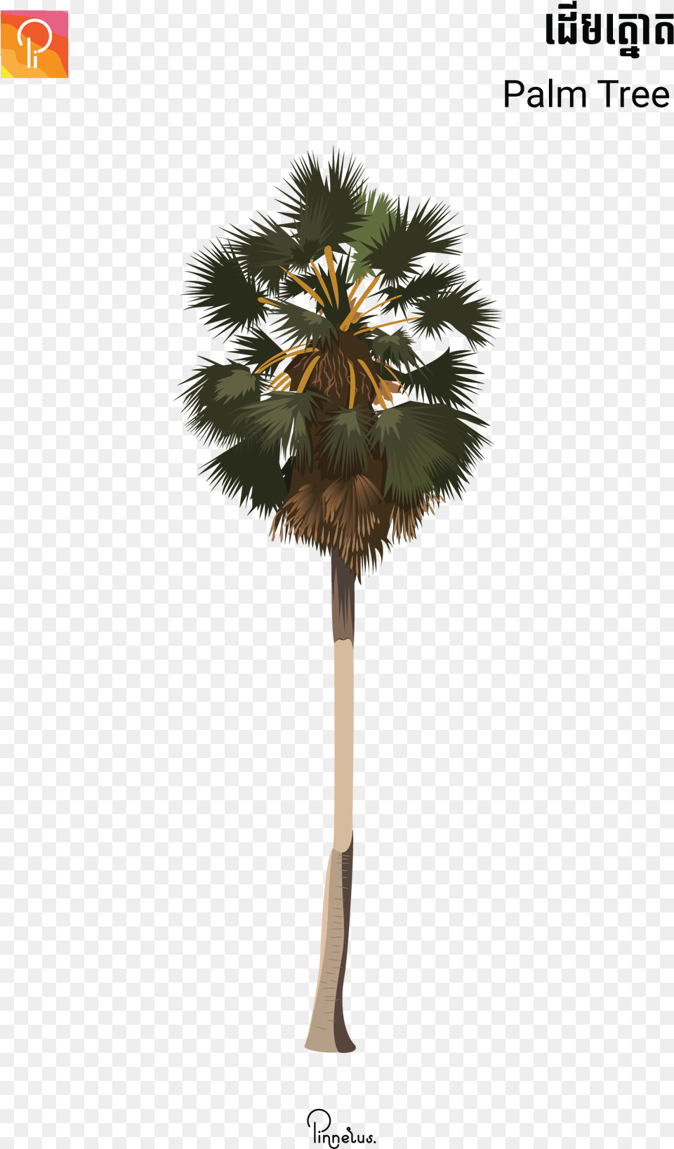 Black Panther Movie Logo Hot Toys Erik Killmonger Golden Jaguar Black Panther, Palm Tree, Plant, Tree, Flower Png Image