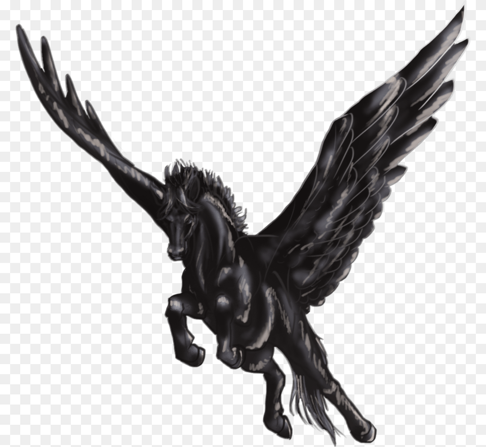 Black Pegasus, Accessories, Art, Animal, Bird Png Image