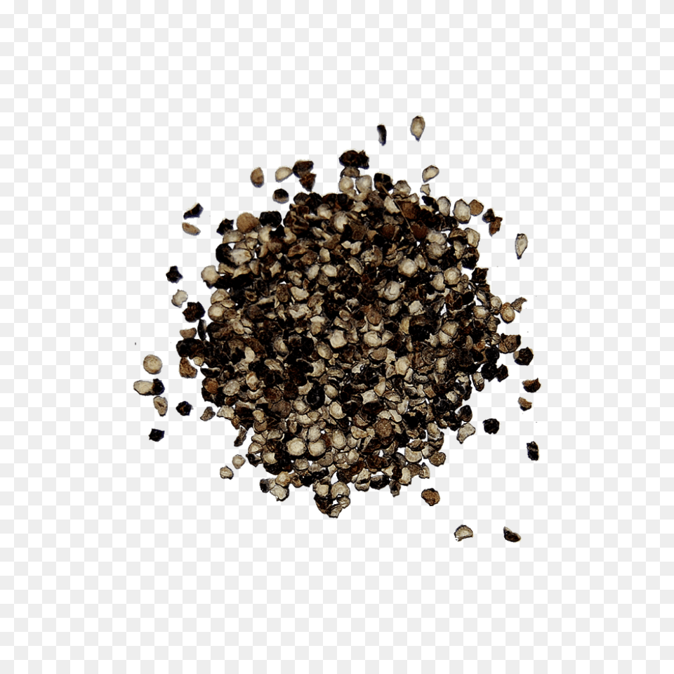 Black Pepper, Chandelier, Lamp, Accessories, Jewelry Free Png Download