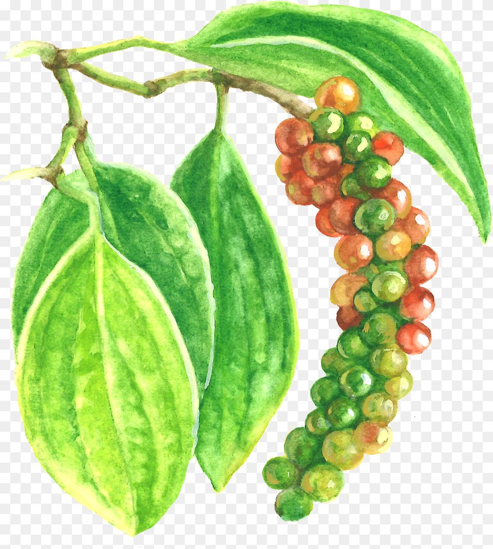 Black Pepper Extract Seedless Fruit, Food, Leaf, Plant, Produce Free Png Download