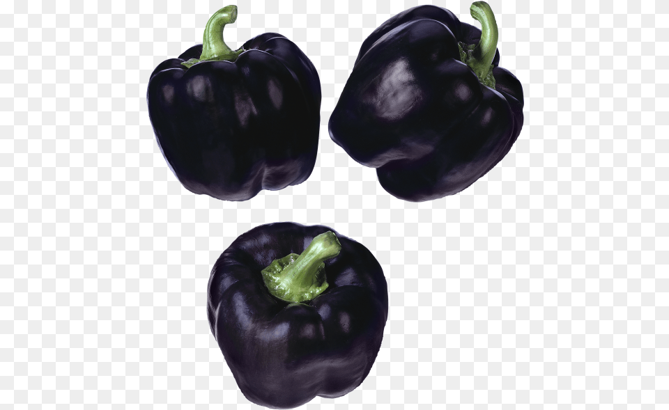Black Pepper Purple Peppers, Bell Pepper, Food, Plant, Produce Png Image