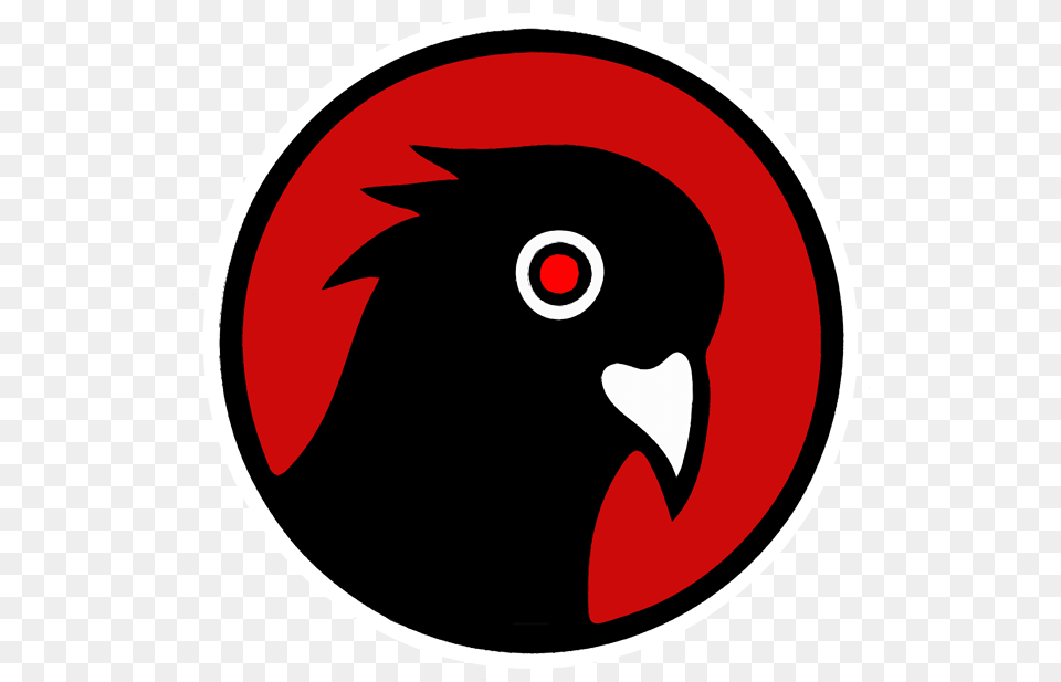 Black Pigeon Speaks Has Been Banned From Youtube Science Black Pigeon Speaks, Animal, Beak, Bird, Blackbird Free Png Download
