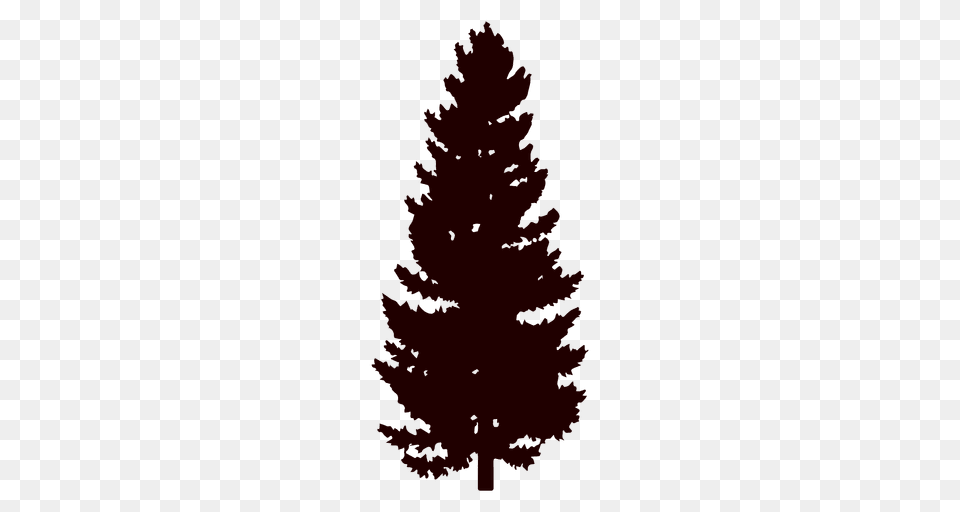 Black Pine Tree Silhouette, Fir, Plant, Conifer, Person Free Png Download