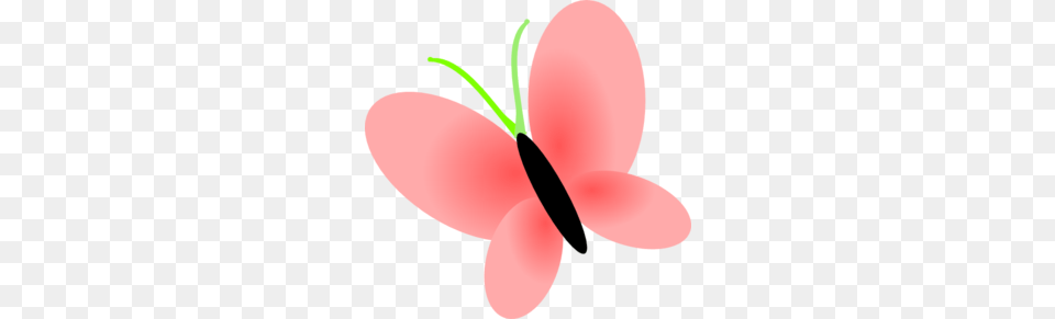 Black Pink Butterfly Clip Art Etiket Fireworks, Flower, Petal, Plant, Food Png Image