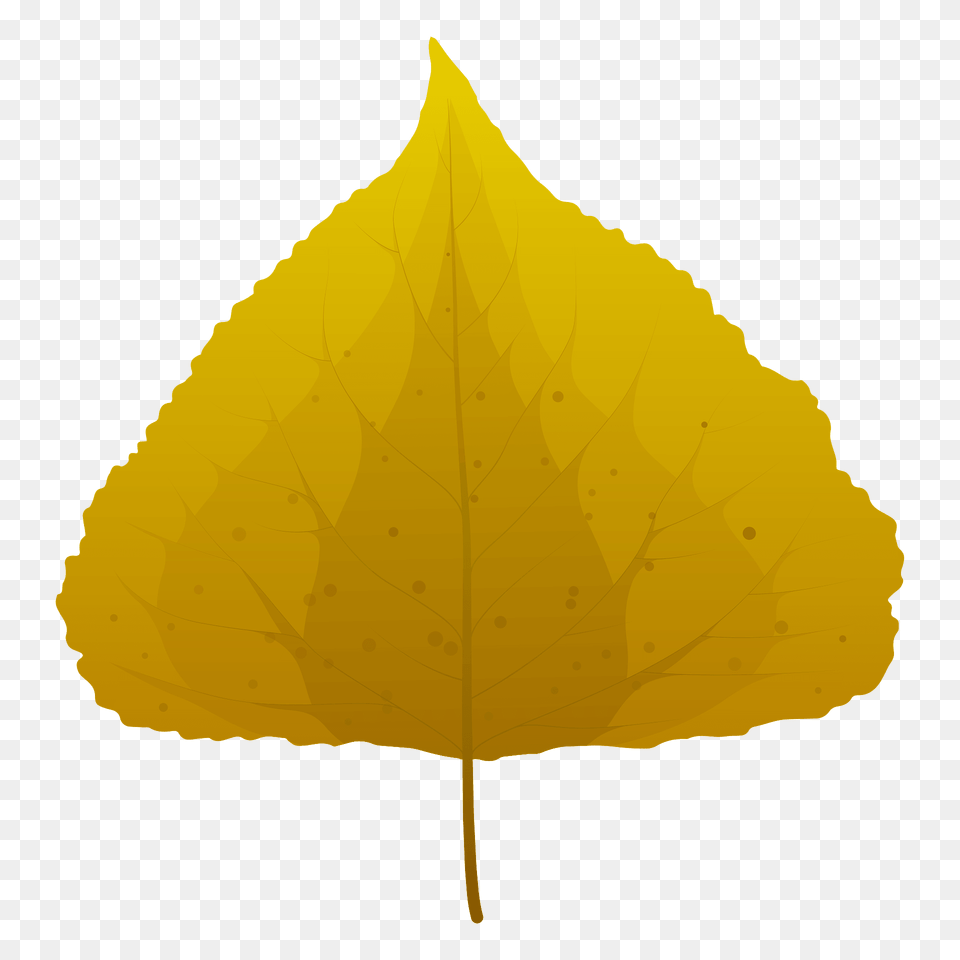 Black Poplar Autumn Leaf Clipart, Plant Free Transparent Png