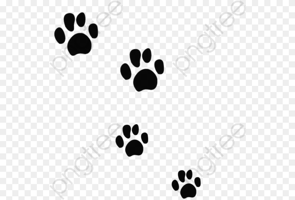 Black Prints Clipart Mark Bear Paw Prints, Gray Png Image