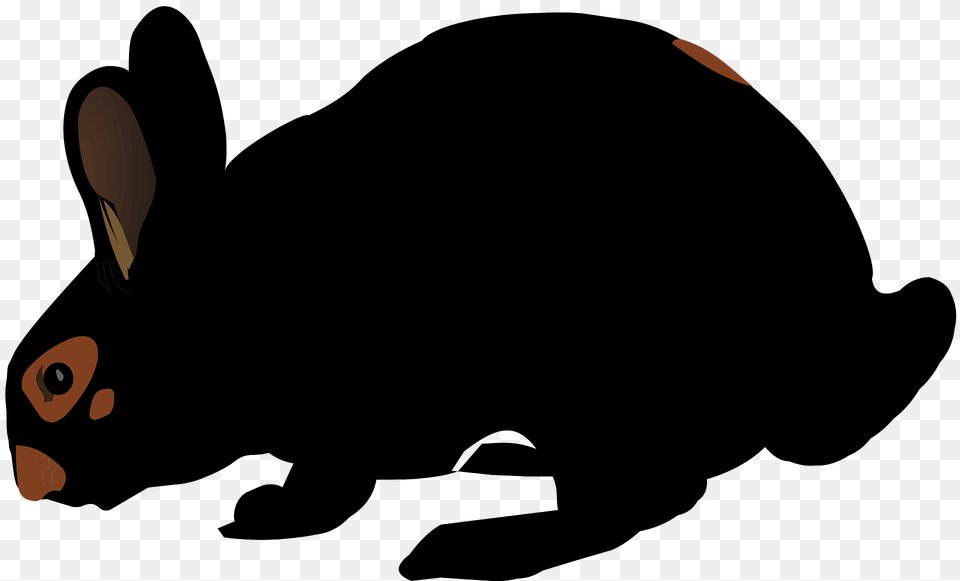 Black Rabbit Clipart, Animal, Mammal, Bear, Wildlife Png