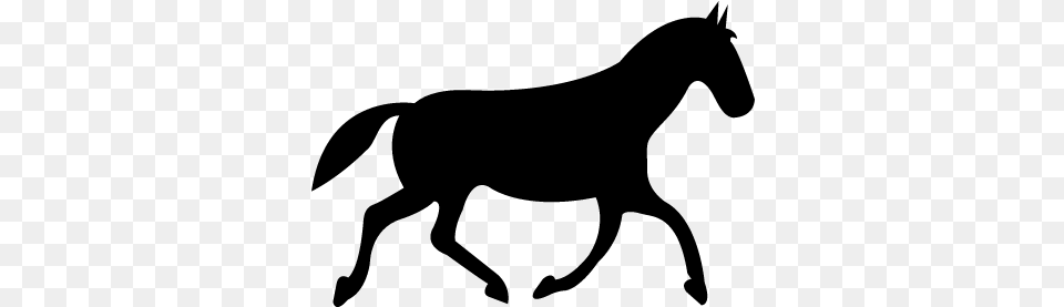 Black Race Horse Walking Pose Vector Flat Icon Horse, Gray Free Png