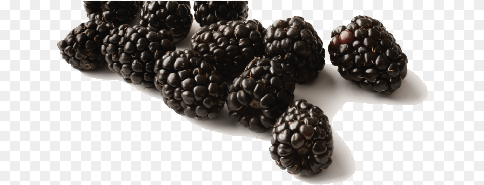 Black Raspberries Download Black Raspberry Hd, Berry, Food, Fruit, Plant Png Image