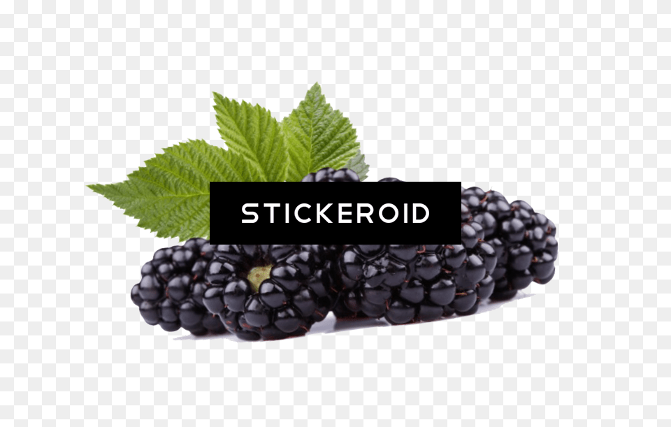 Black Raspberries Hd Black Raspberry Transparent, Berry, Food, Fruit, Plant Png Image