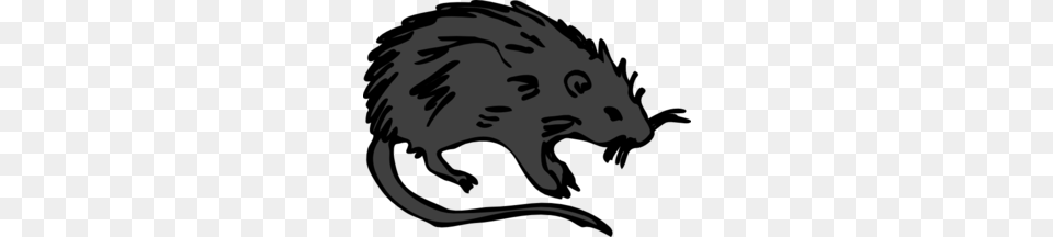 Black Rat Clip Art, Baby, Person, Animal, Mammal Free Transparent Png