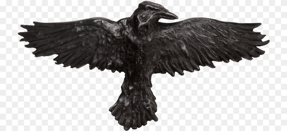 Black Raven Hair Clip Gothic Raven Crow, Animal, Bird, Blackbird, Vulture Free Transparent Png