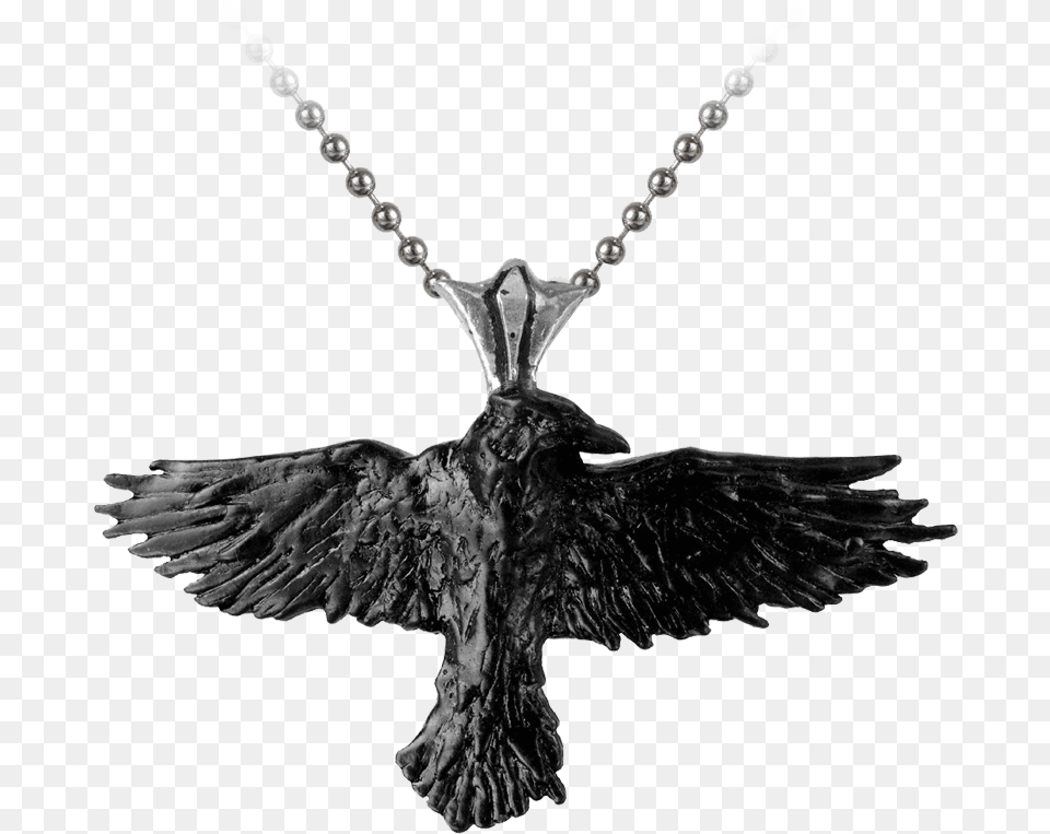 Black Raven Necklace Corbeau Accessoire Cheveux, Accessories, Jewelry, Cross, Symbol Free Transparent Png