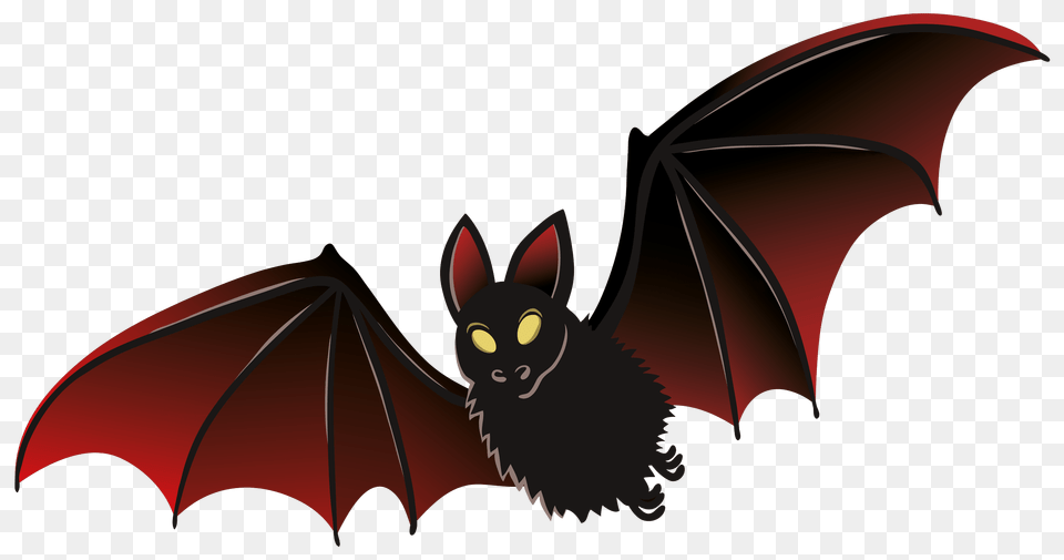Black Red Bat, Animal, Mammal, Wildlife, Fish Png Image