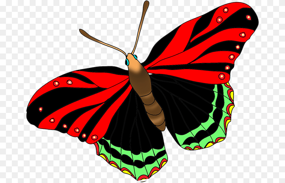 Black Red Butterfly Image Red Butterfly Clipart, Animal, Insect, Invertebrate, Moth Free Png Download