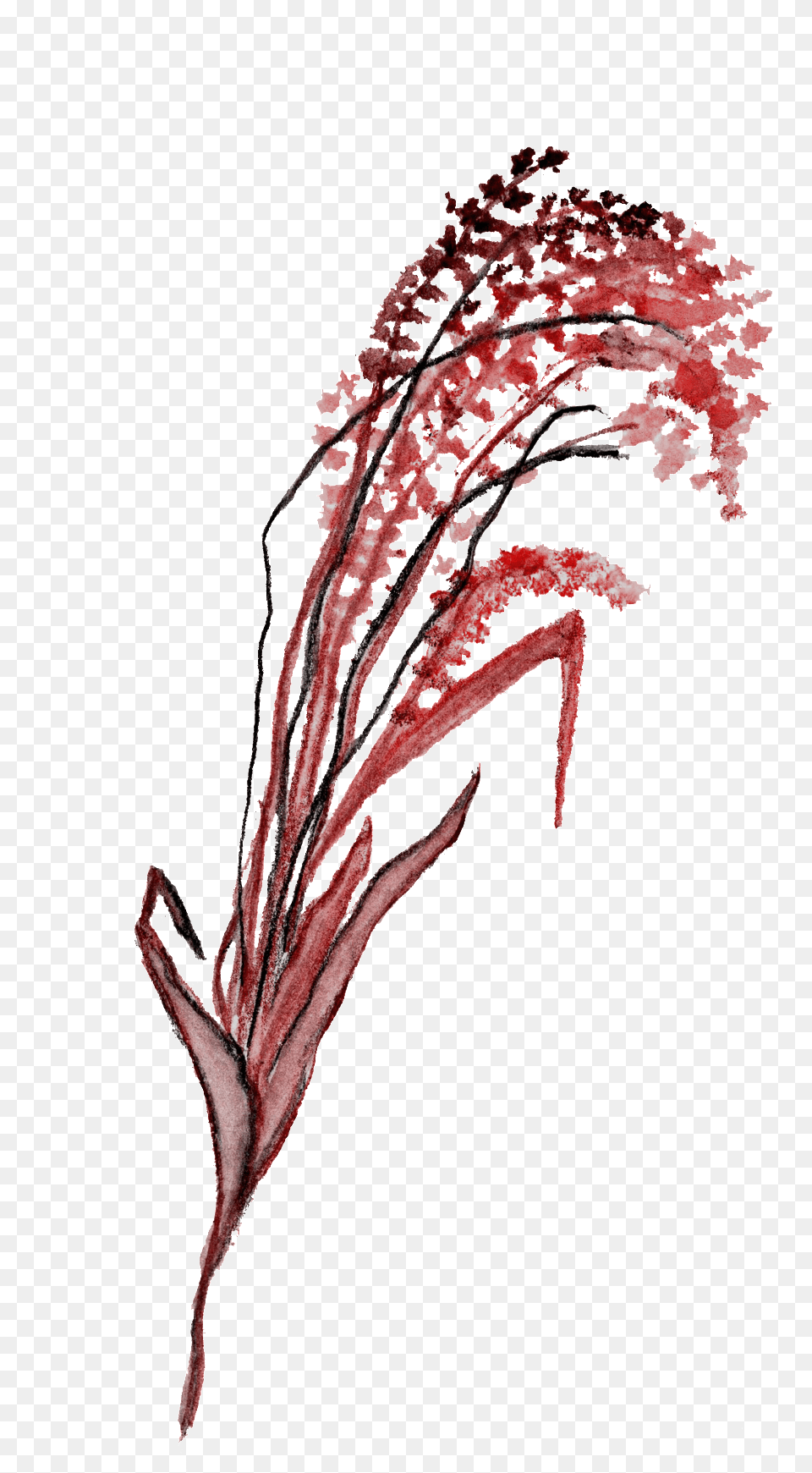 Black Red Flower Branch Transparent Decorative, Plant, Art Free Png