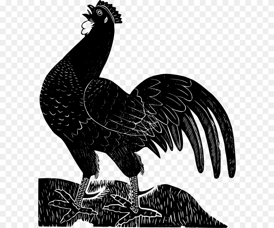 Black Rooster, Gray Png Image