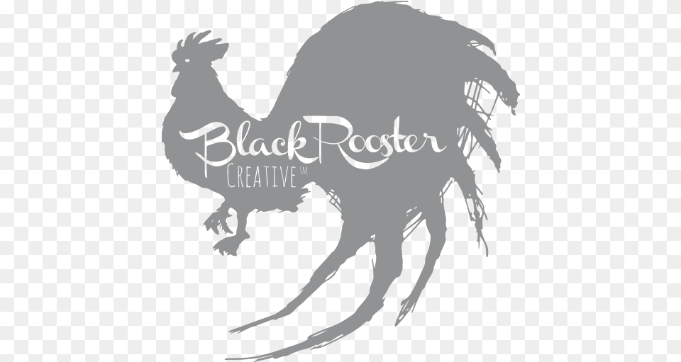 Black Rooster Creative Range Animation U0026 Design Rooster, Adult, Female, Person, Woman Free Png