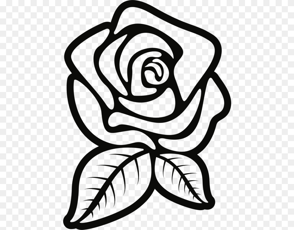 Black Rose Black And White Silhouette Drawing, Flower, Plant, Spiral Free Png