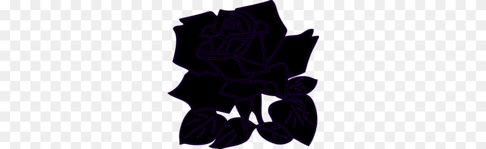 Black Rose Clip Art, Purple, Light Free Transparent Png