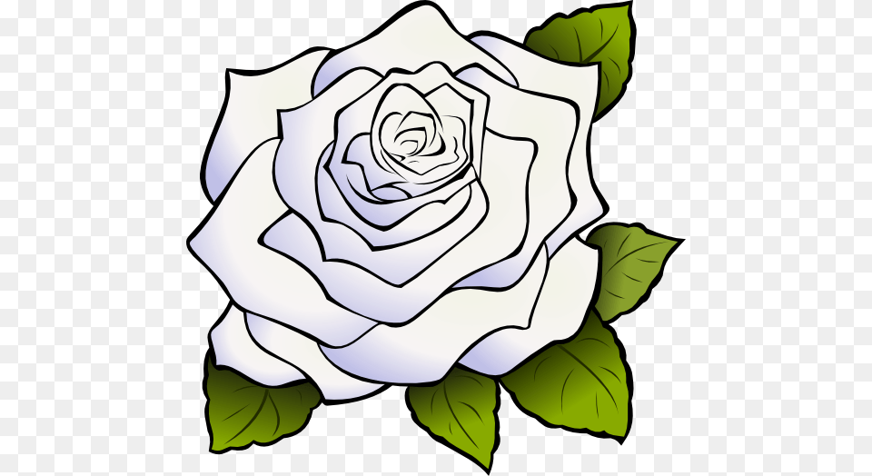 Black Rose Clip Art, Flower, Plant, Smoke Pipe Png Image